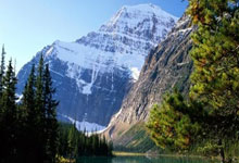 乐鱼体育课程-足球赛场上的奇迹时刻正在酝酿