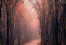 乐鱼体育地址-拜仁慕尼黑：国际舞台上的冠军传奇