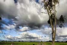 乐鱼体育网站入口-勇士逆境奋战，奇迹扳回一局，半决赛悬念引爆全场