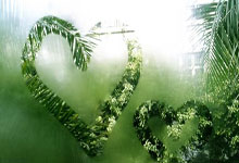 乐鱼体育app-巴西足球国家队全力备战世界杯预选赛：梦想再启航