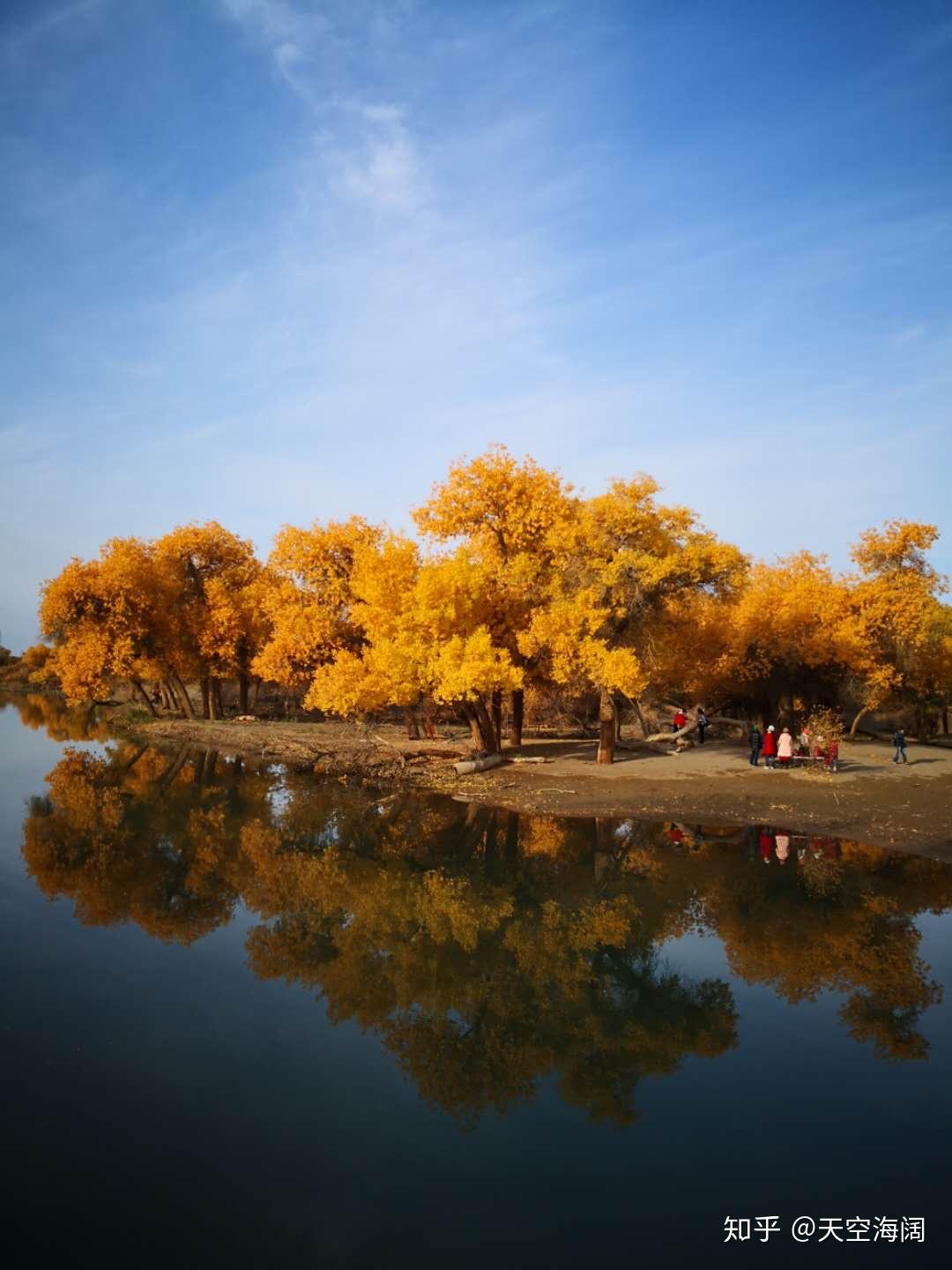 宁夏队鏖战取胜,士气高昂向前冲 宁夏队鏖战取胜,士气高昂向前冲