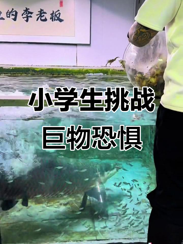 联盟最强对决再掀狂潮，双方胜负悬念的简单介绍